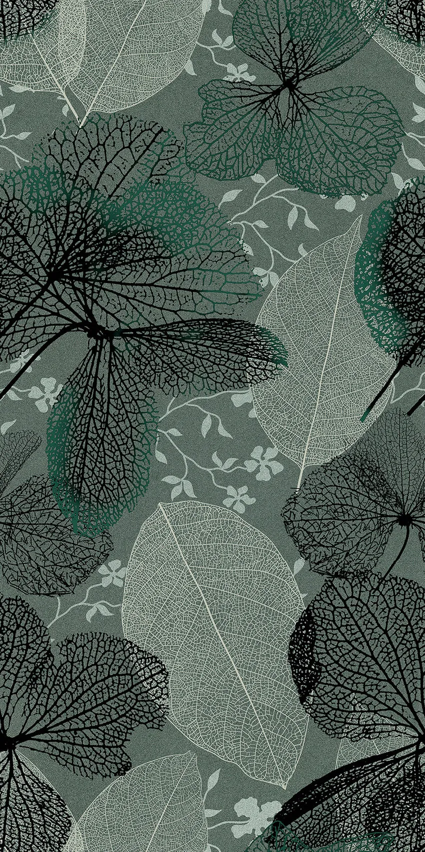 BASIL DECORE